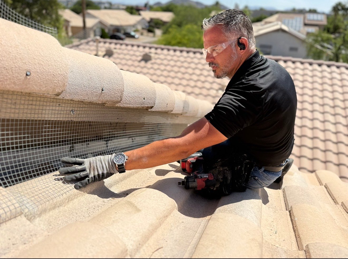 Roofline, Eave & Ledge Bird Proofing for Arizona Homes